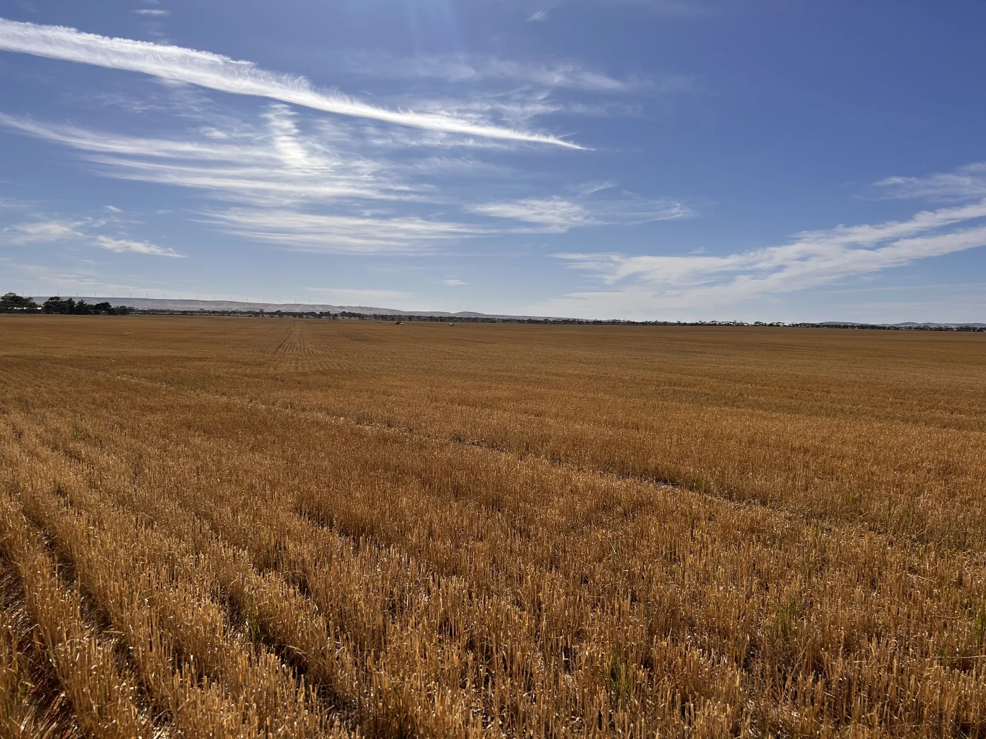 Additional image 8 of 2290 Bute Road, Bute SA 5560