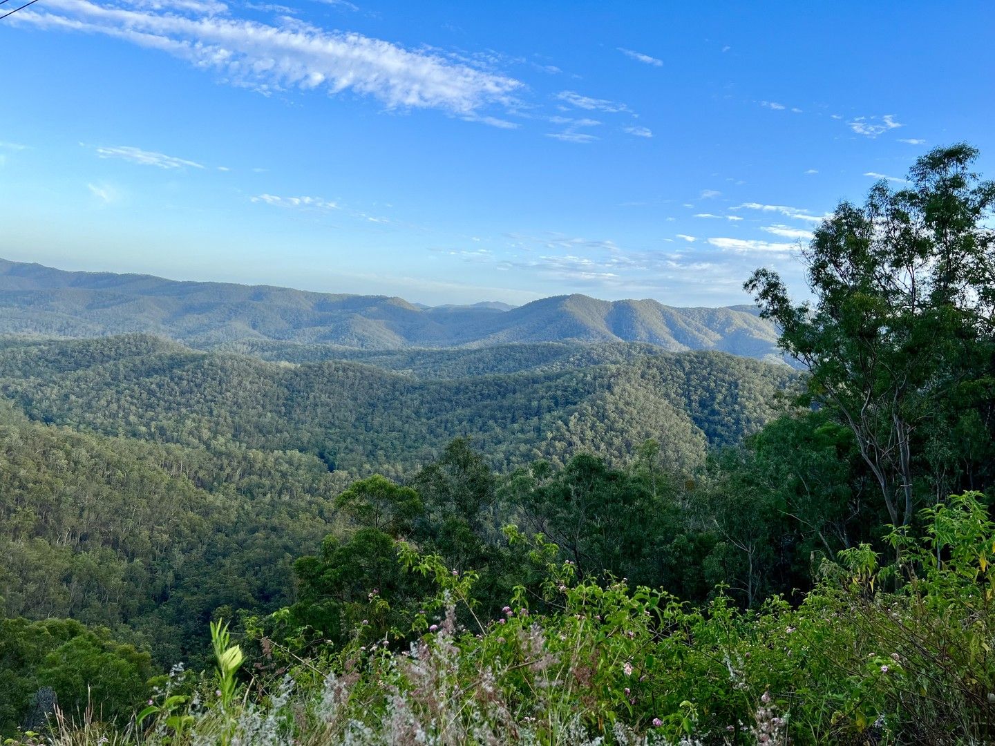 Off Banks Creek Road, Banks Creek QLD 4306, Image 0