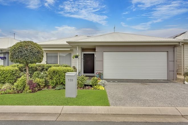 Picture of 159 Arctic St, LAKE CATHIE NSW 2445