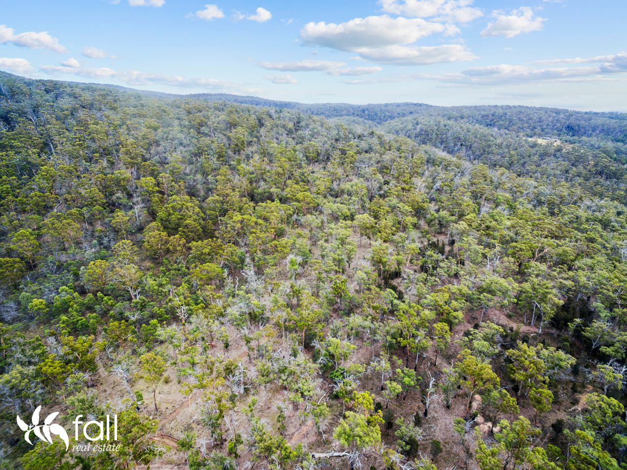 Lot 16 Swanston Road, Little Swanport TAS 7190, Image 2