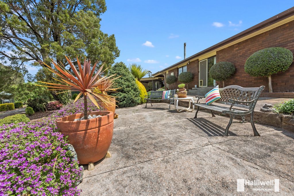 47 Morris Road, Melrose TAS 7310, Image 2