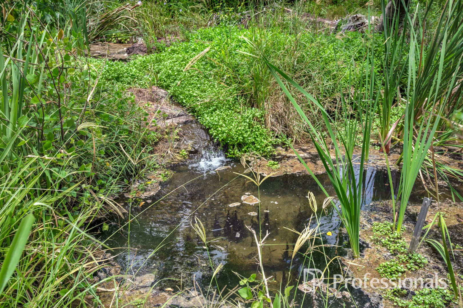 Image 11