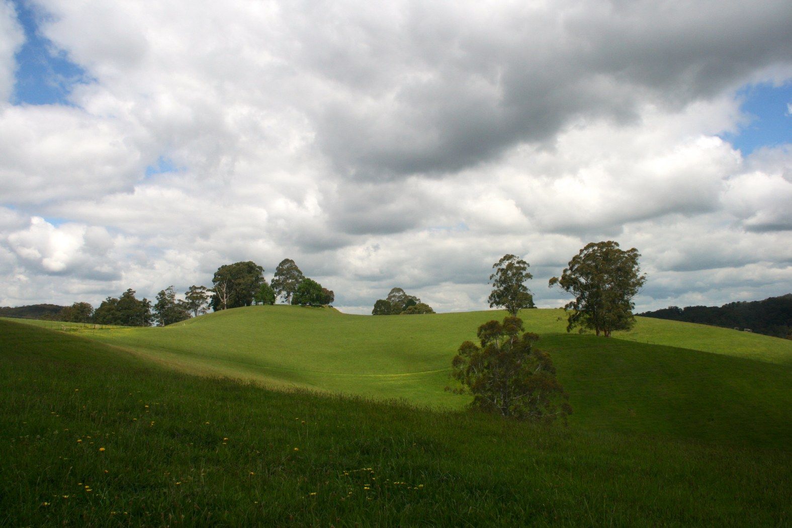 65A Parker Road, GEMBROOK VIC 3783, Image 2