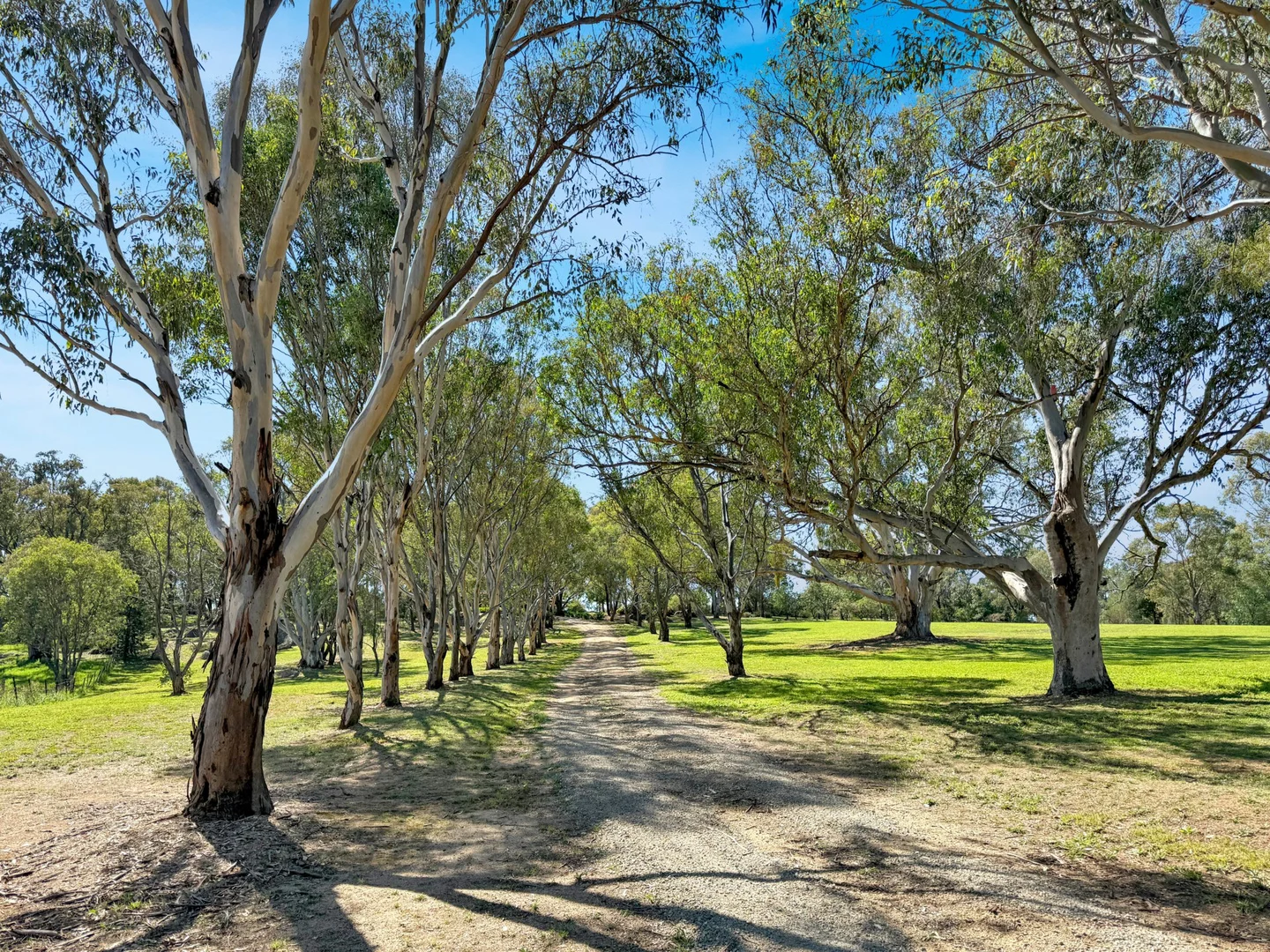 Additional image 22 of 60 Redhill Road, Young NSW 2594