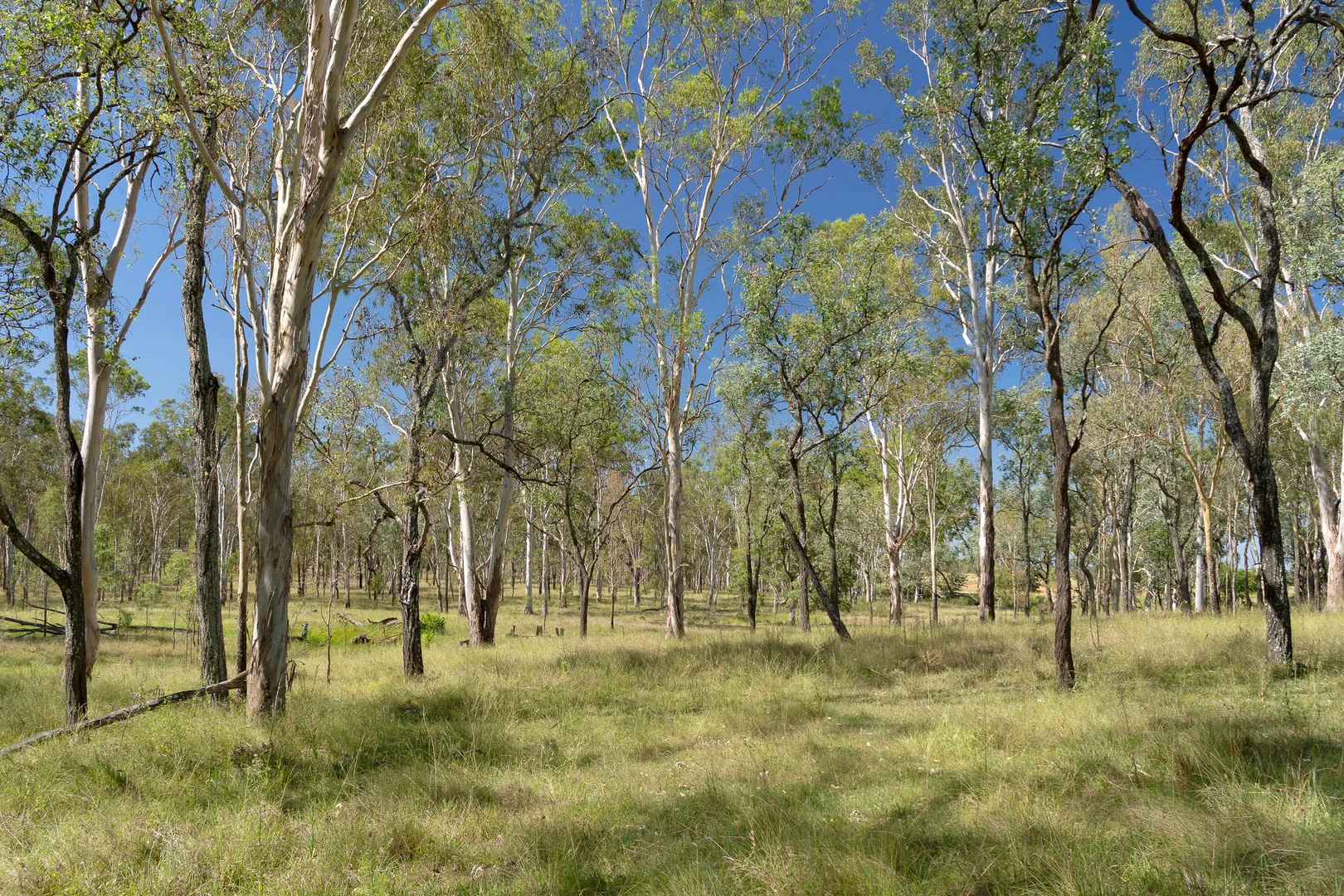 Additional image 14 of Lot 65 Cunningham Highway, Mutdapilly QLD 4307