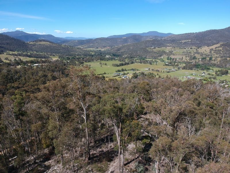 Lower Swamp Road, Lachlan TAS 7140, Image 0