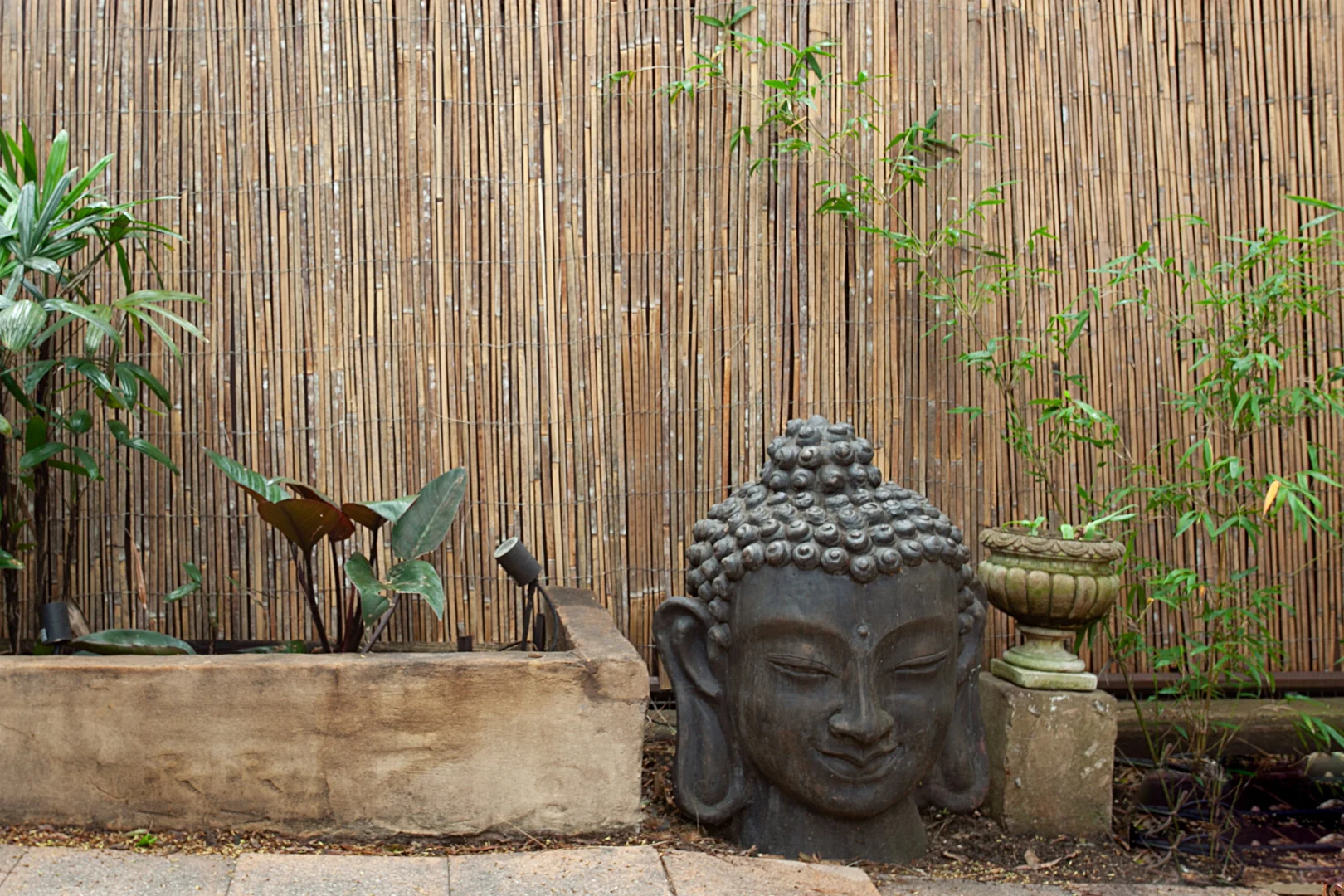 Additional image 32 of Darlinghurst NSW 2010