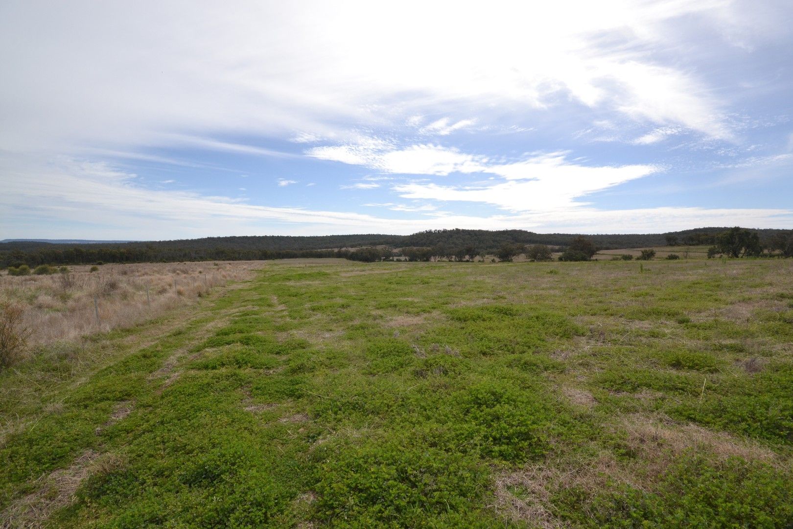 1550 Adams Scrub Road, Delungra NSW 2403 House for Sale Domain