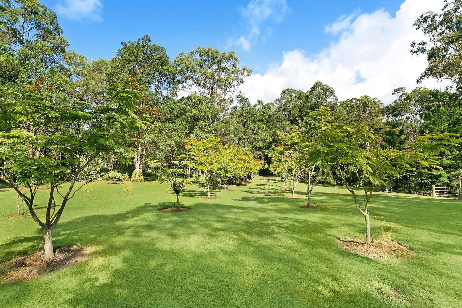 5 bedrooms Rural in 11 Mungindie Court MOUNT NATHAN QLD, 4211