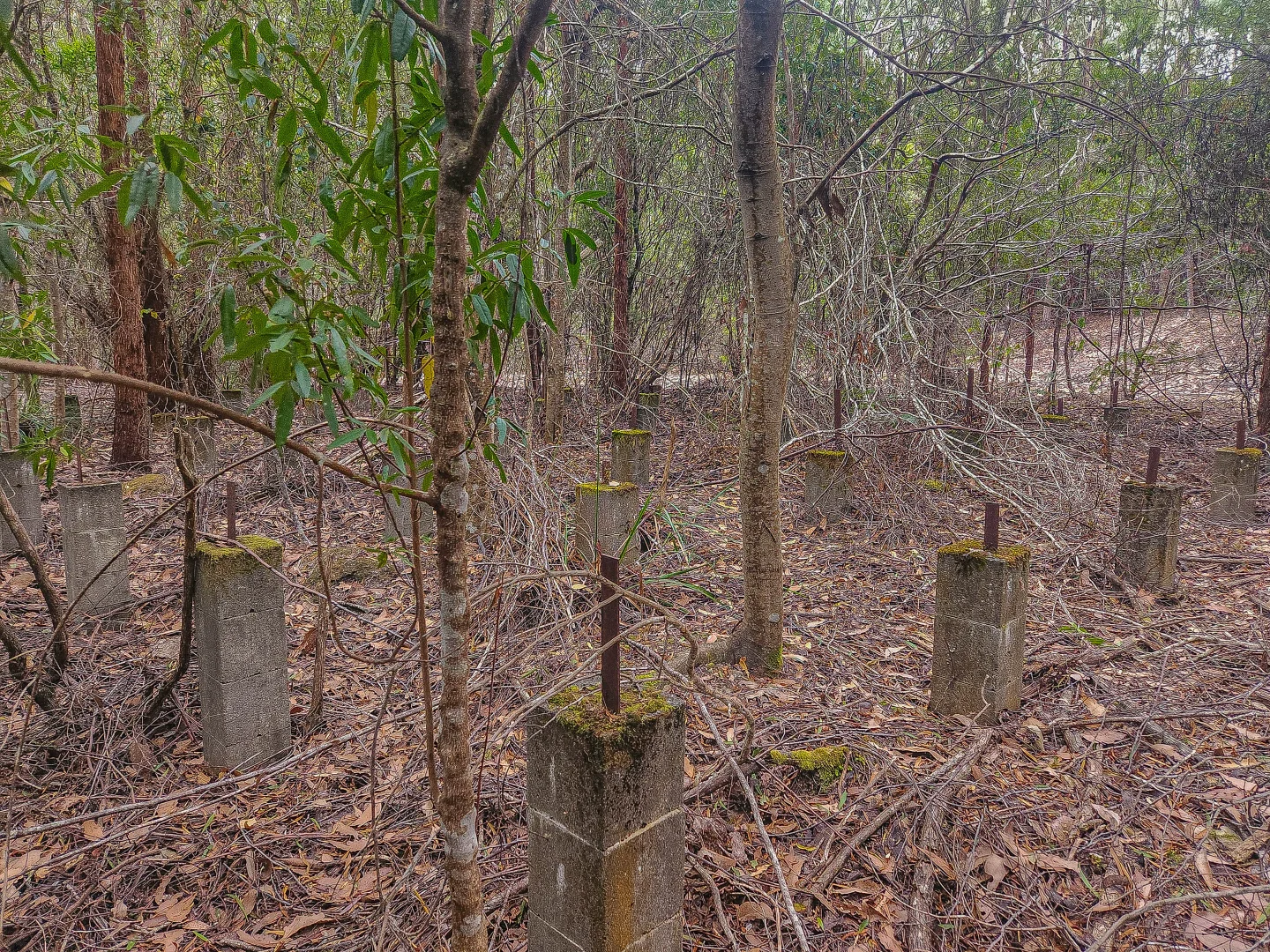 Additional image 8 of 1 Link Road, Lonnavale TAS 7109