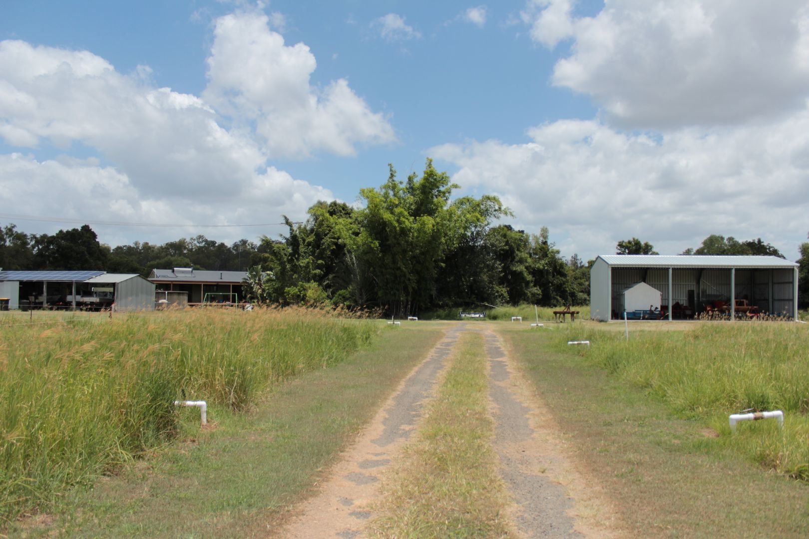 155 Kalbar Rd, South Kolan QLD 4670 House for Sale 499,000