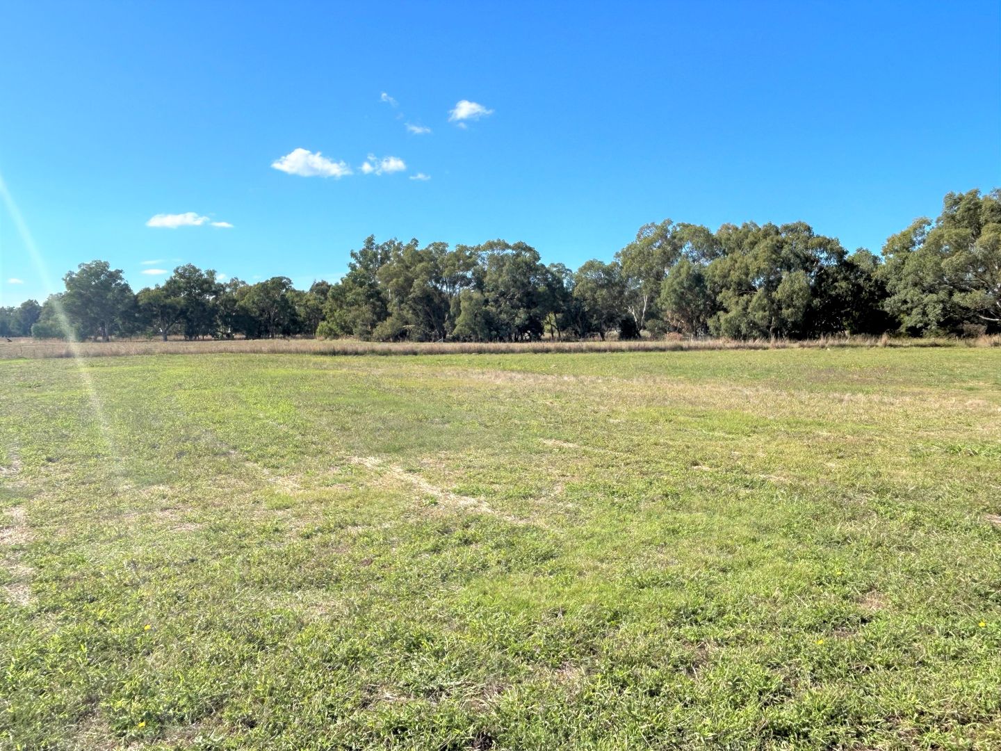 16 Frosty Lane, Jindera NSW 2642, Image 1