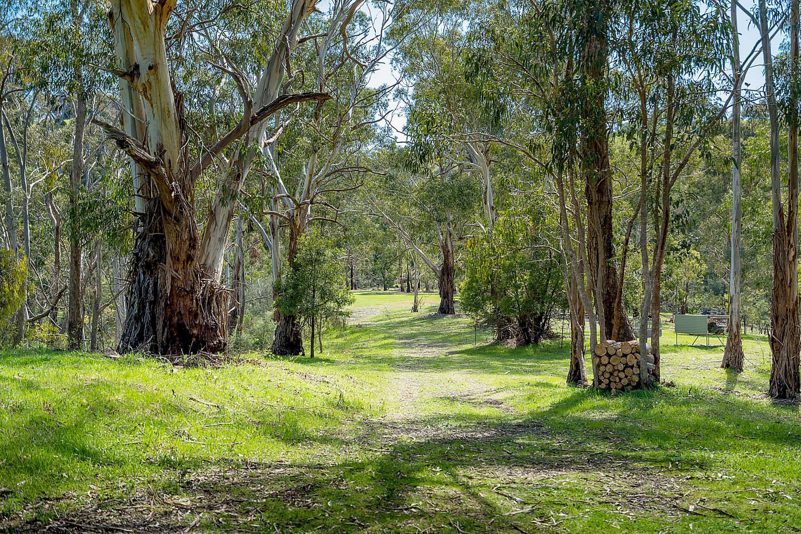 21 Doyle Street, Reedy Creek VIC 3658, Image 2