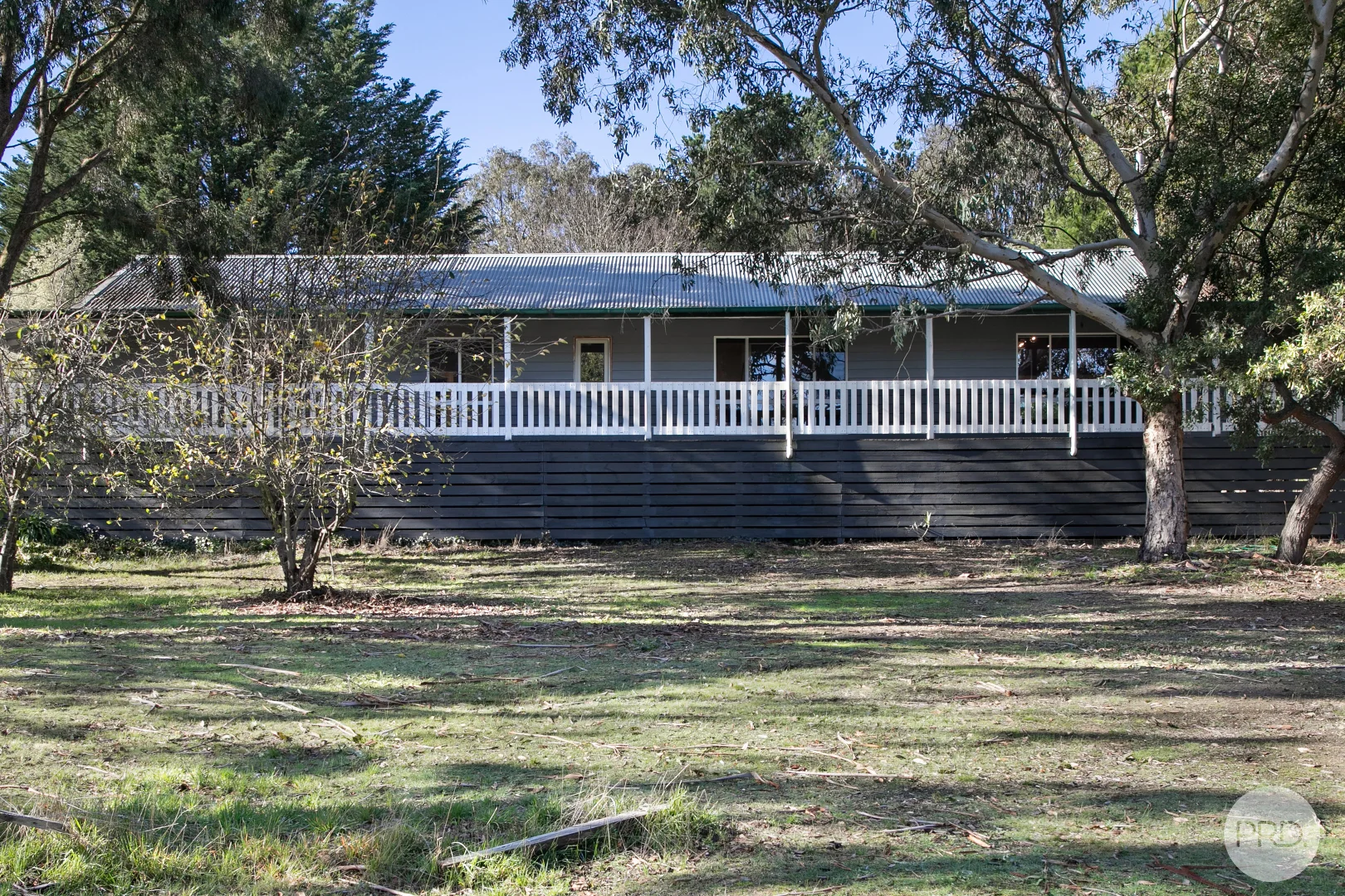 Image 19