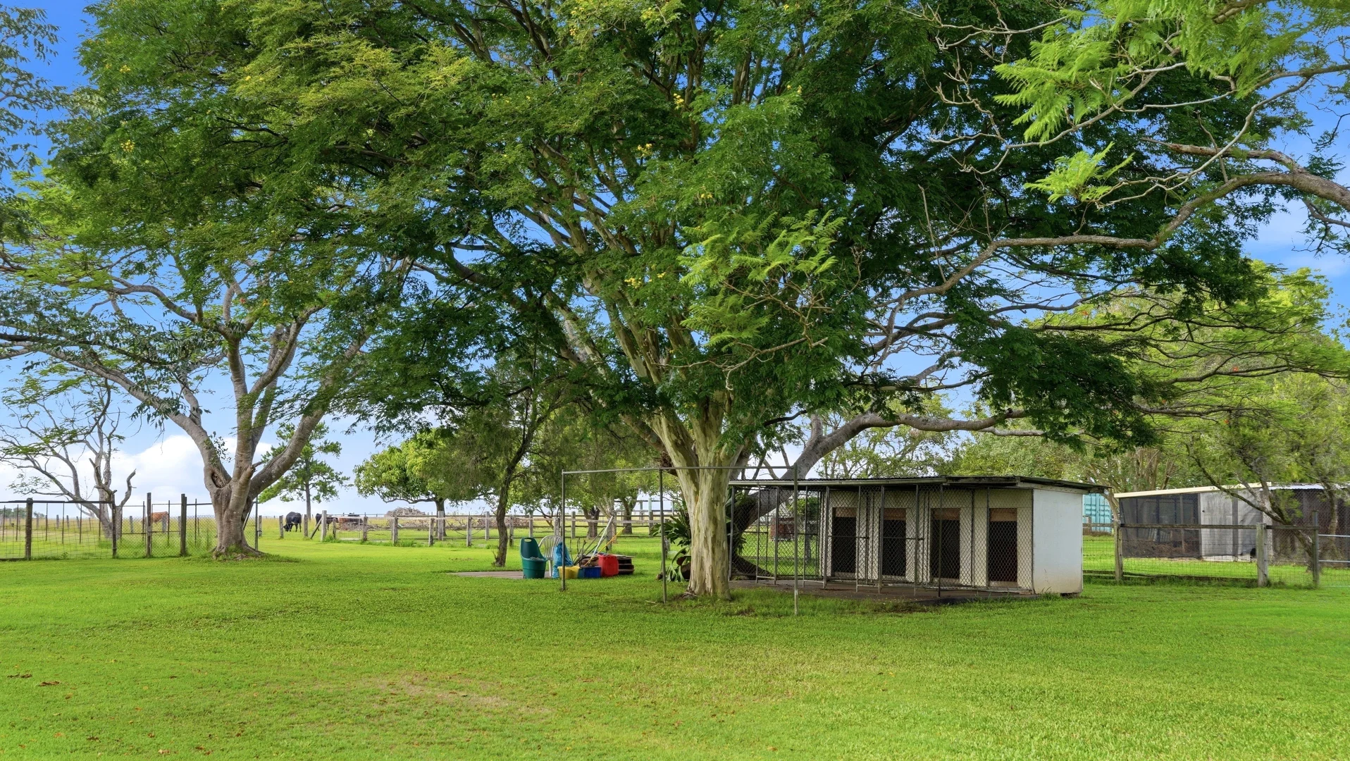 Additional image 25 of 284 Trenayr Road, Trenayr NSW 2460