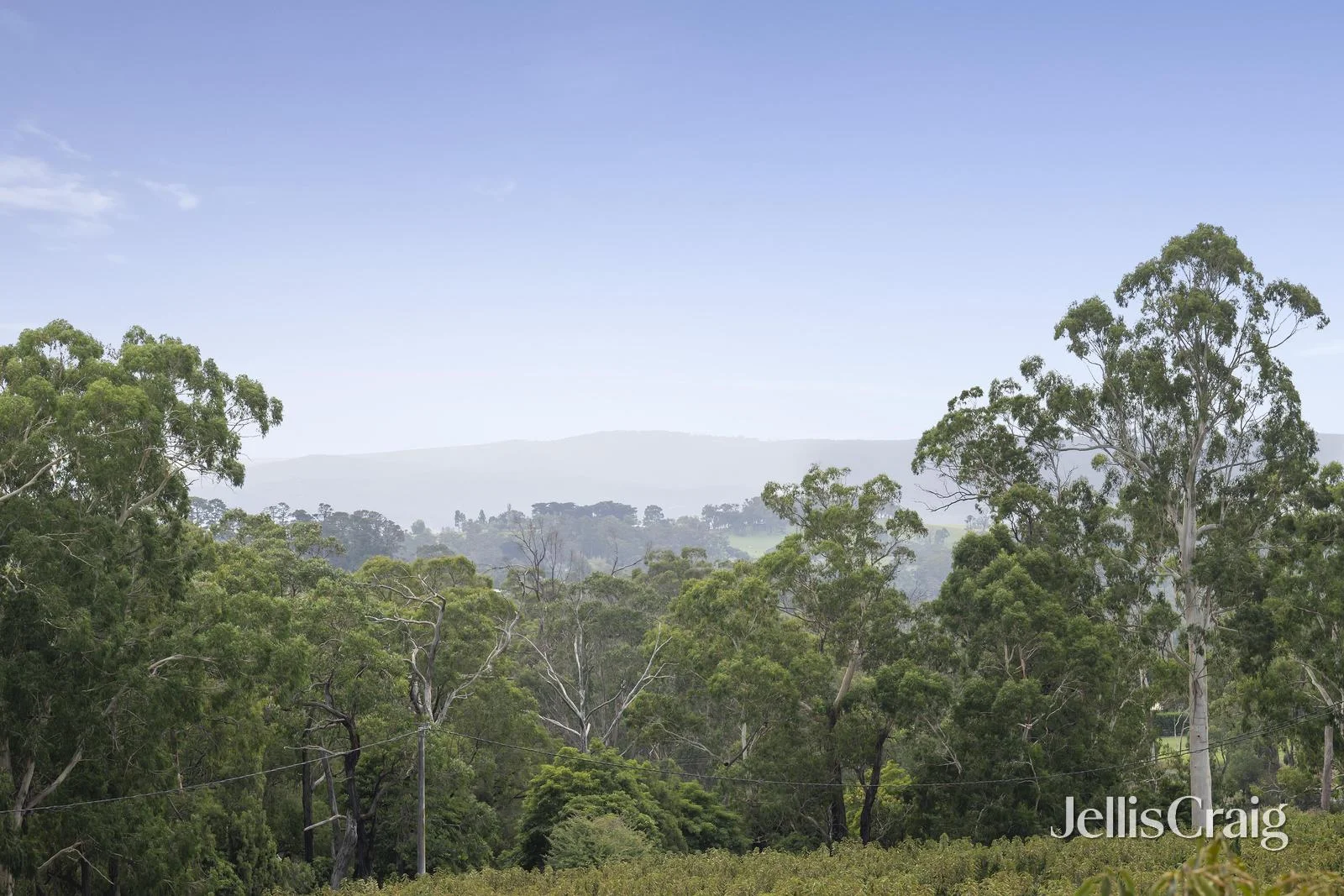 Additional image 26 of 56 Monbulk-Seville Road, Seville VIC 3139