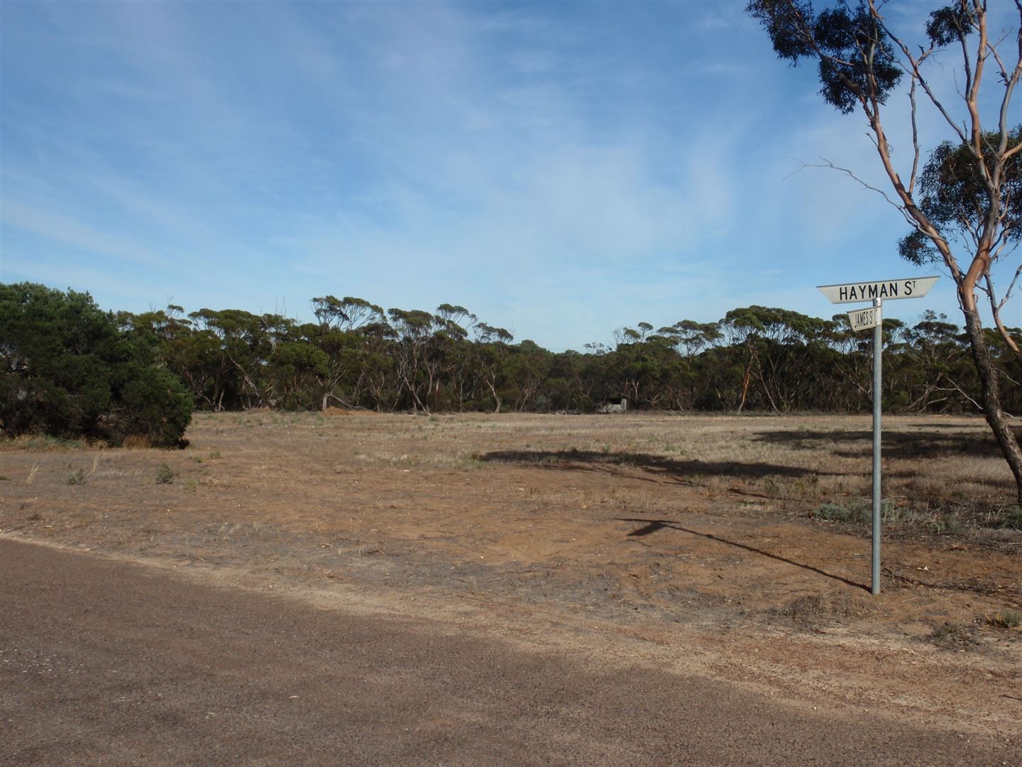 Allotment 86 & 87 Hayman Street, Minnipa SA 5654, Image 0