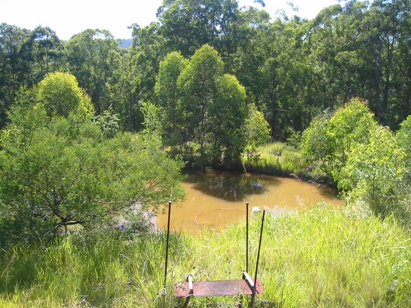 260 Skimmings Gap Road, DUNGOG NSW 2420, Image 1