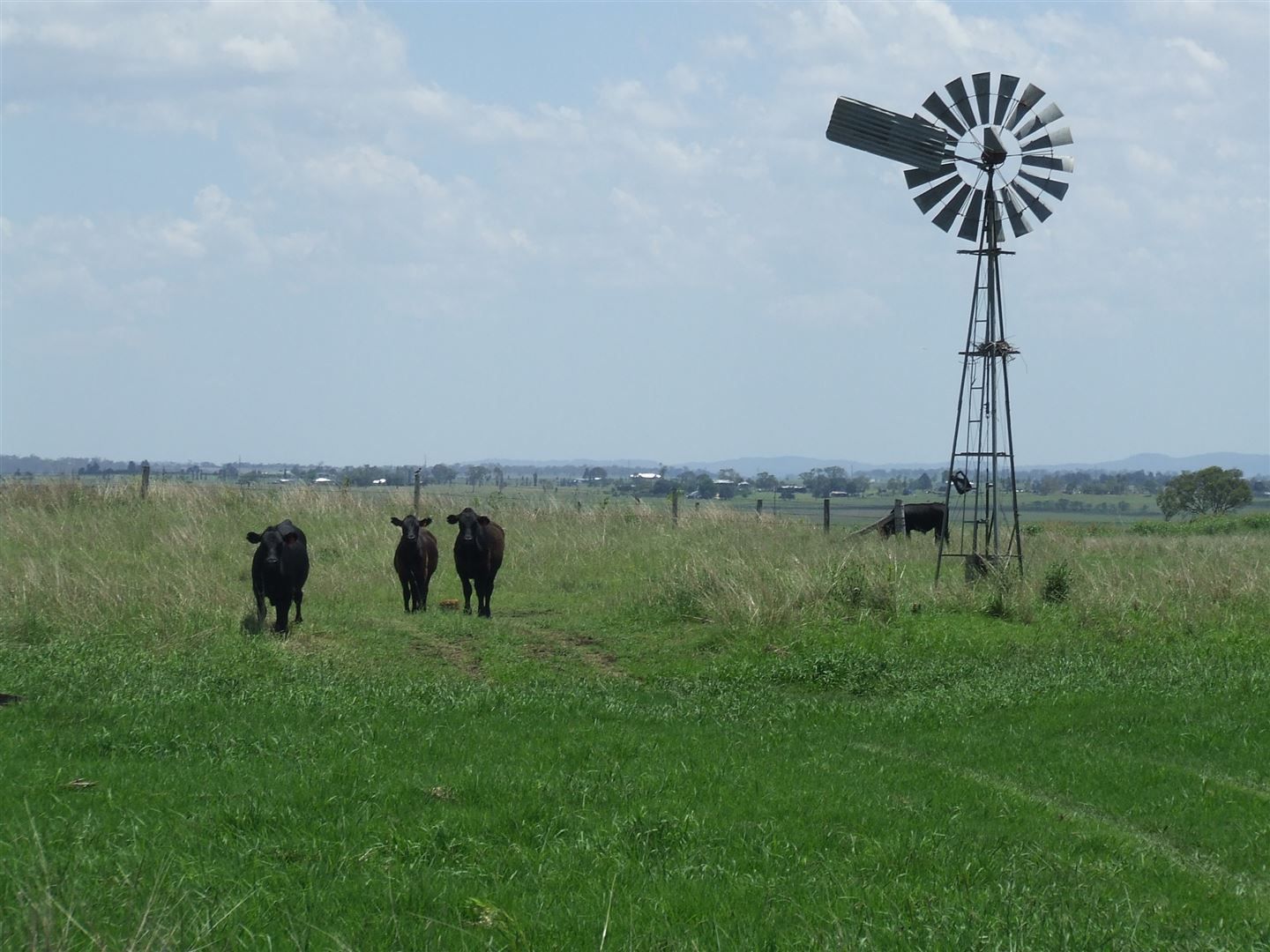 Lot 4 Mcgovern Road, Headington Hill Property History & Address