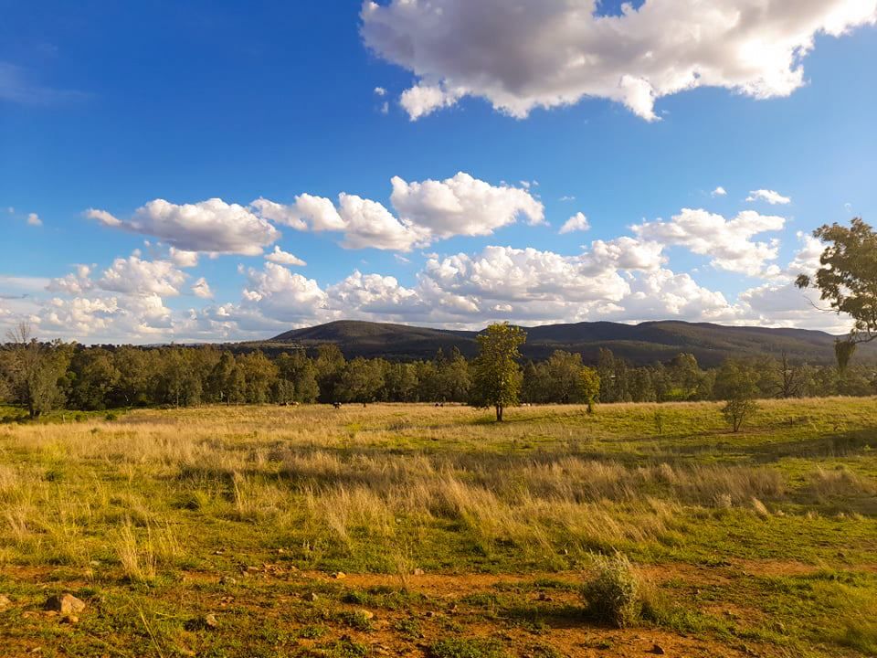 Brigalow Street, Bingara NSW 2404, Image 0