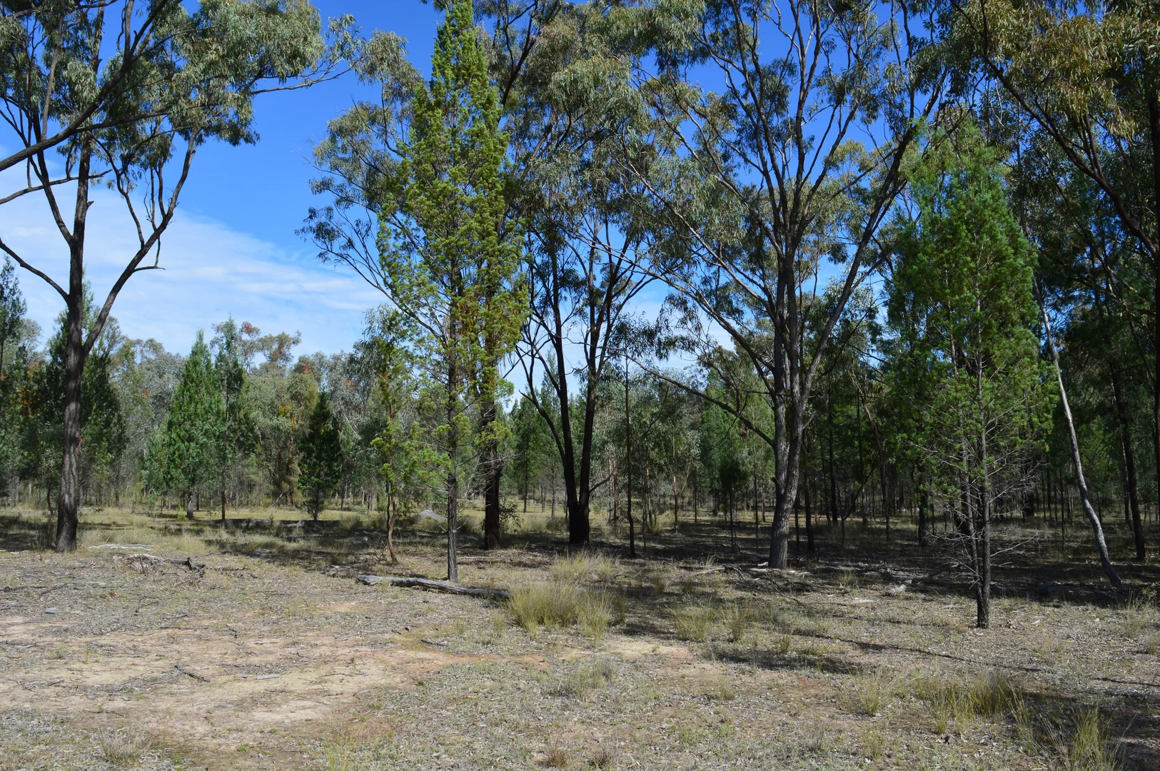 Additional image 5 of Lot 17 Tin Hut Road, Inglewood QLD 4387