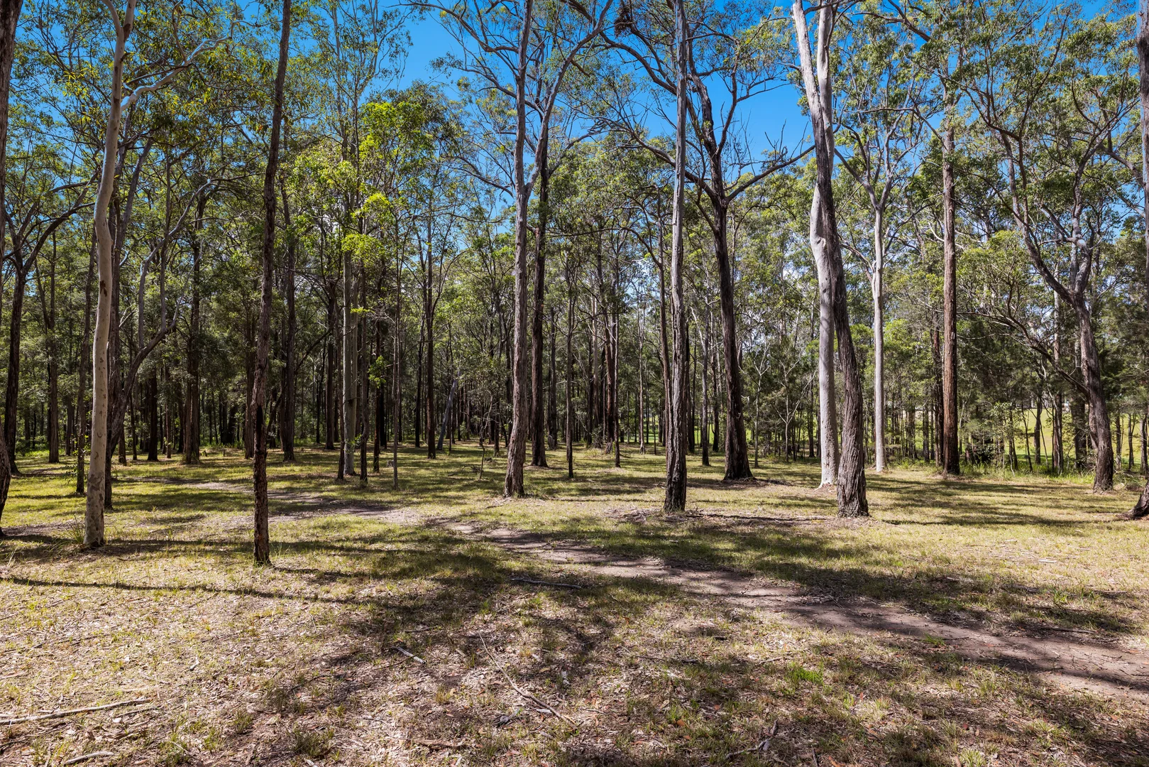 Additional image 23 of 45 Grants Close, South Kempsey NSW 2440