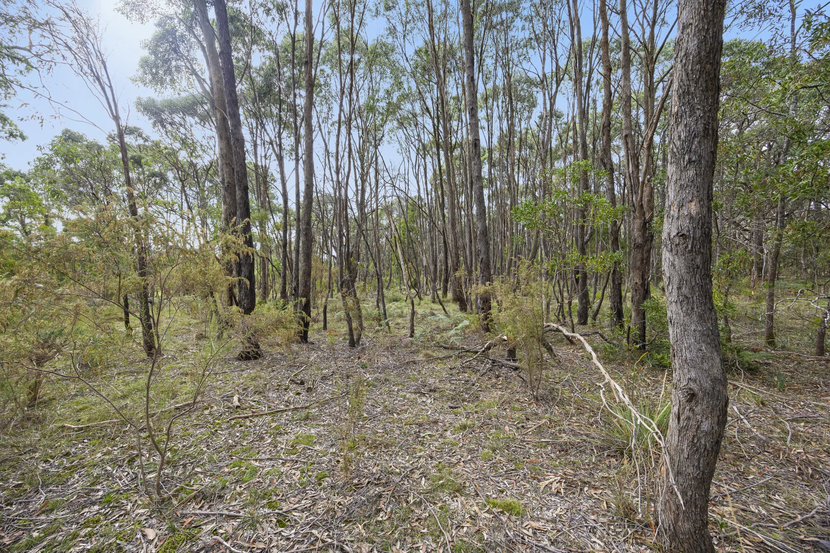 Image 6