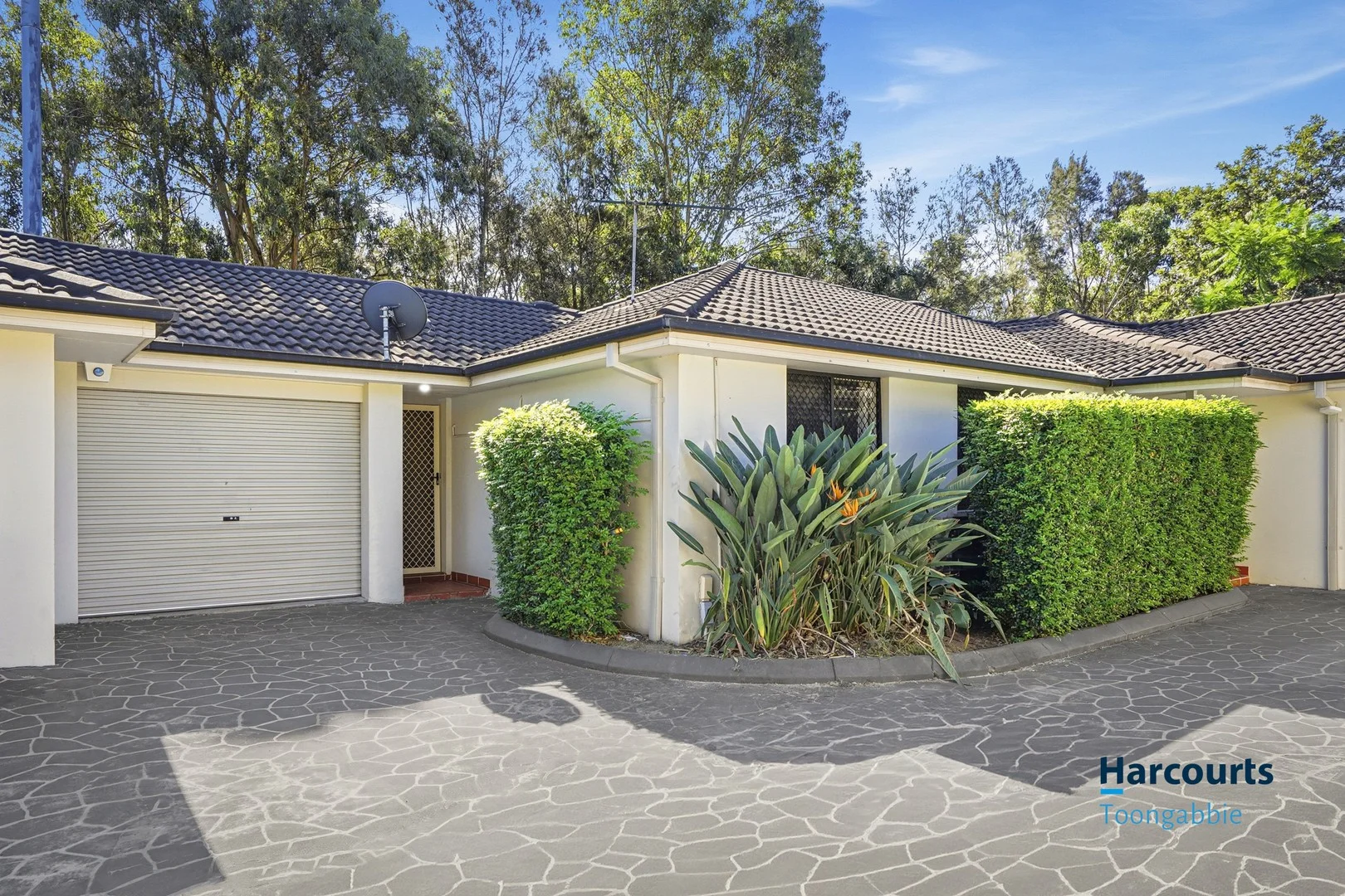 Primary image of 7/113 Toongabbie Road, Toongabbie NSW 2146