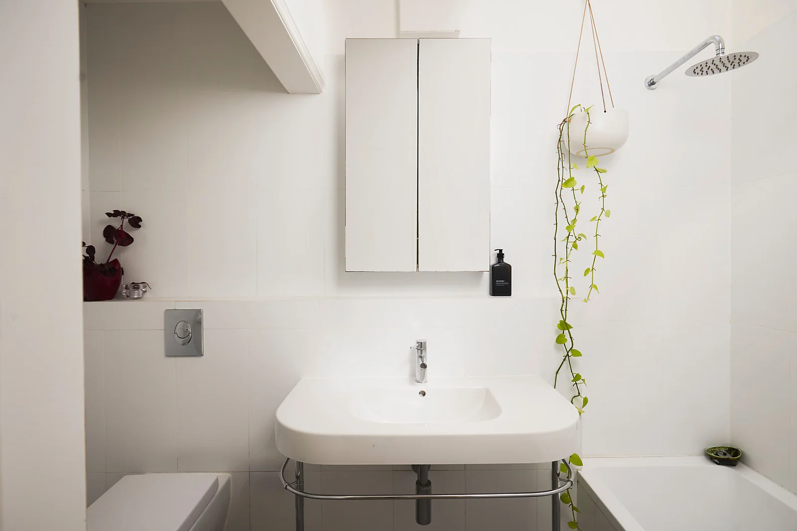 Additional image 11 of 52 William Street, Paddington NSW 2021