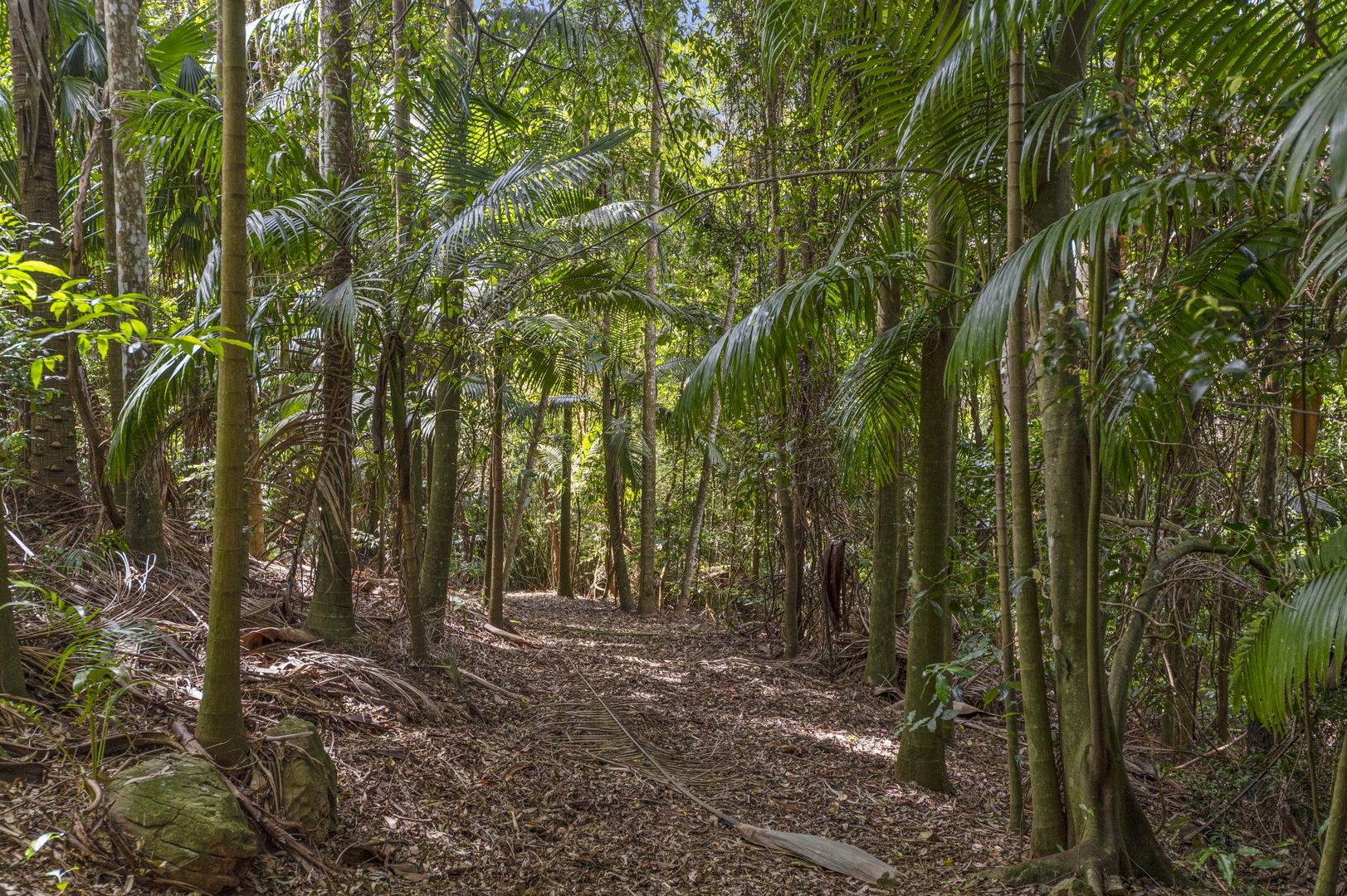 lot 30 Alex rd, Mount Glorious QLD 4520, Image 1