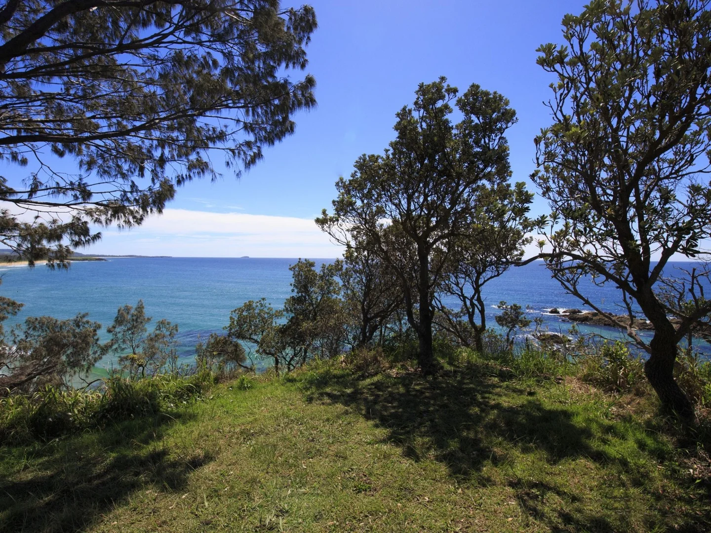 Image 15
