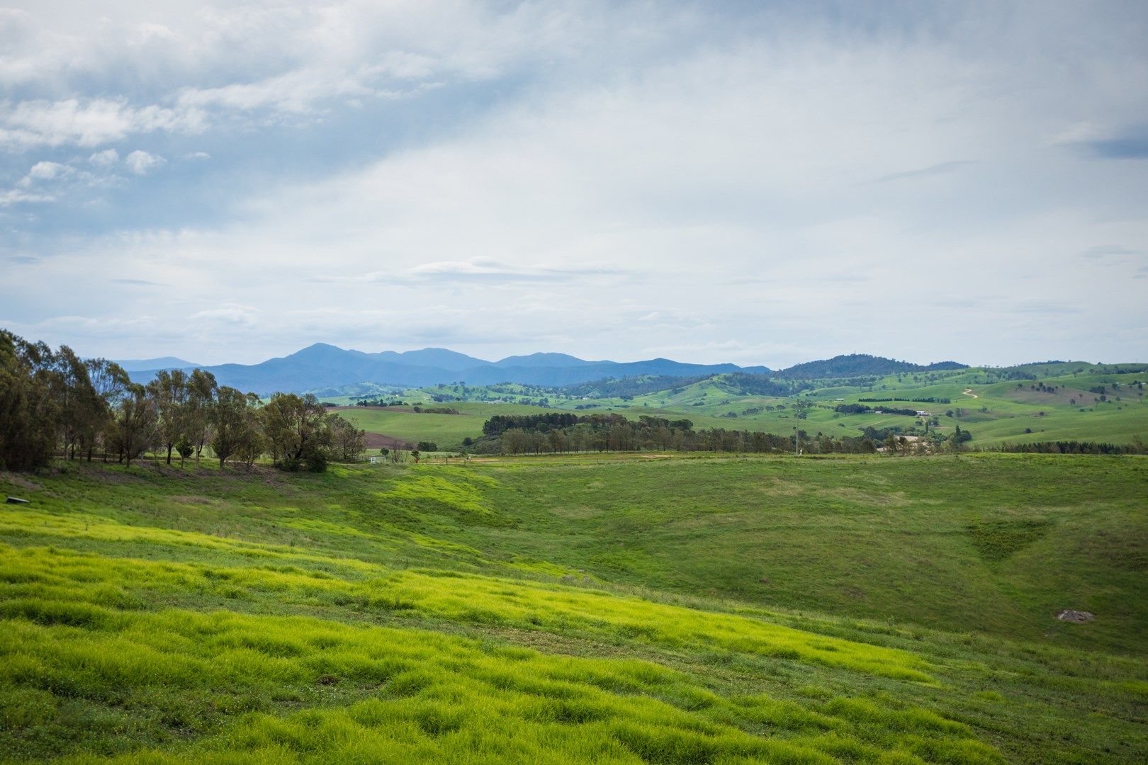 Lot 3 DP806659 Candelo Road, Bega NSW 2550, Image 0