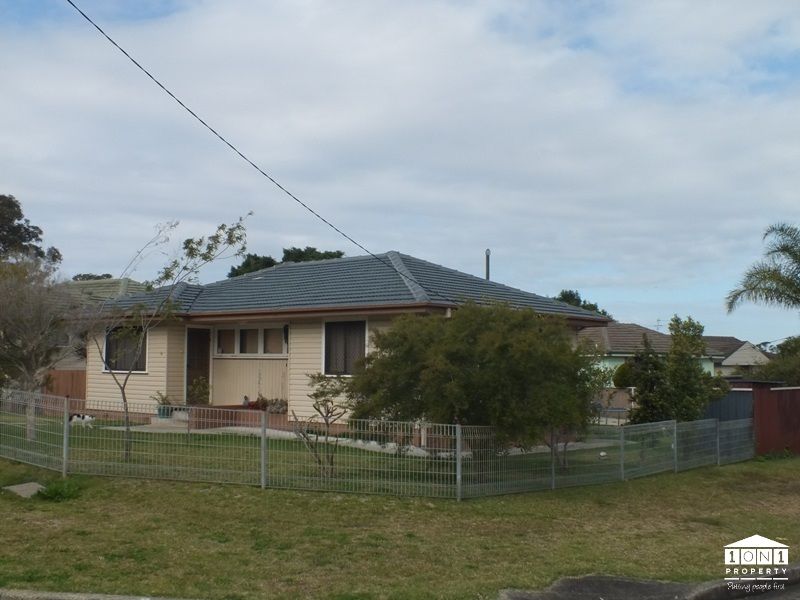 8 Flame Street, Gateshead NSW 2290, Image 0