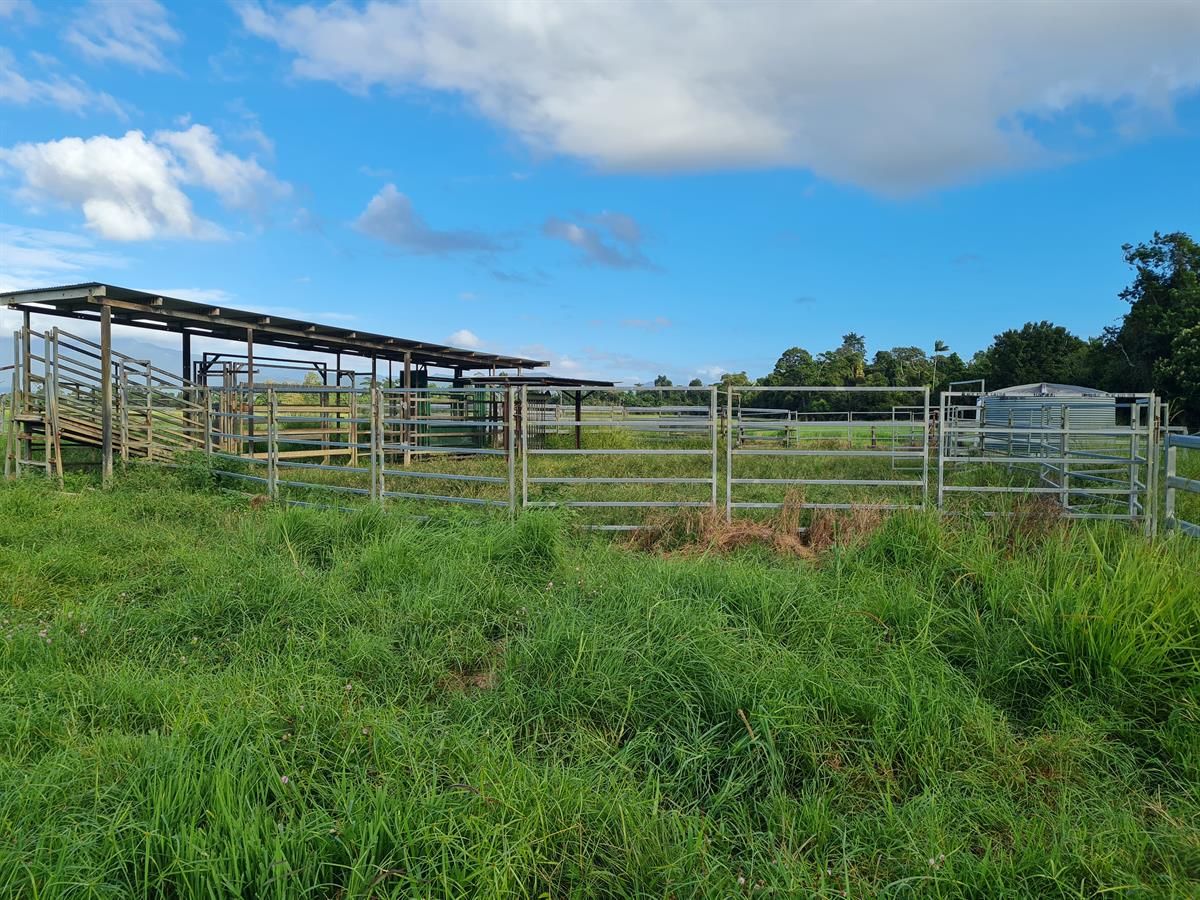 Silkwood QLD 4856 Specialist Farm for Sale 450,000 Domain