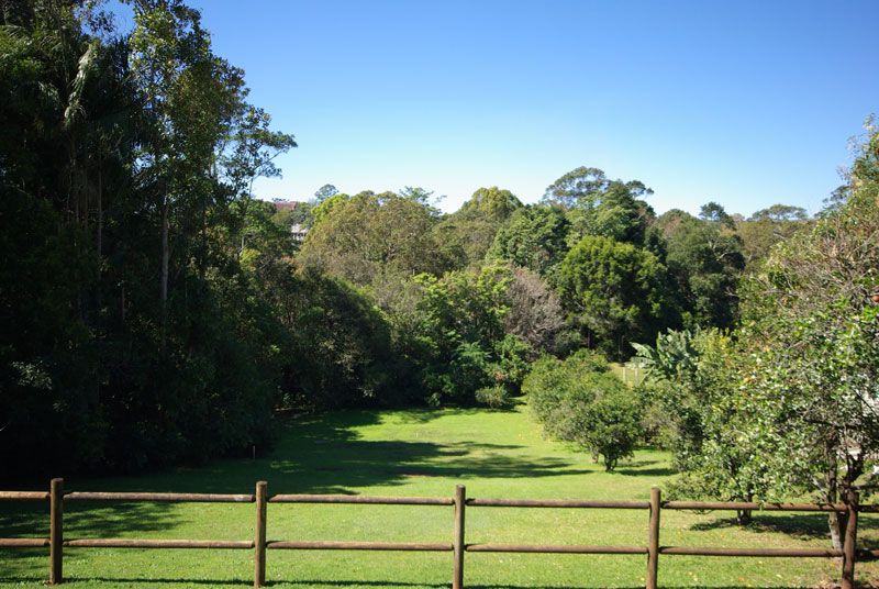 11a Green Frog Lane, BANGALOW NSW 2479, Image 2