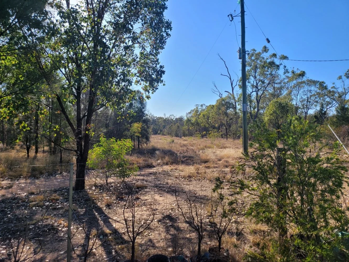Additional image 18 of Tara QLD 4421