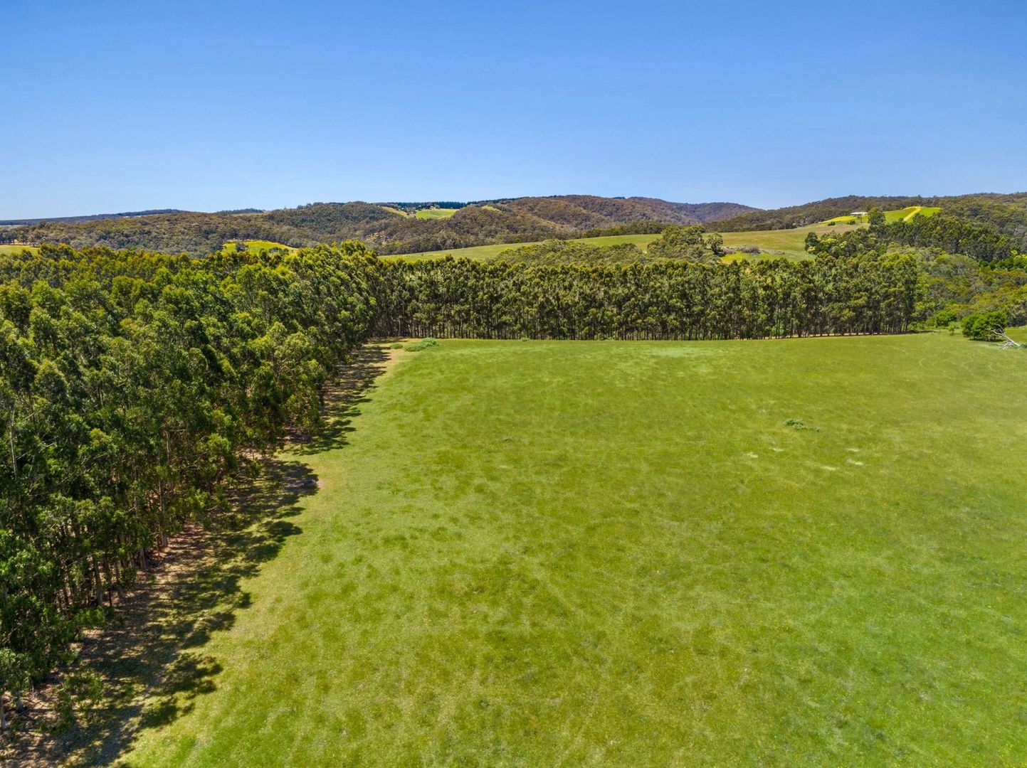 30 Swayns Lane, Deans Marsh VIC 3235 House for Sale Domain