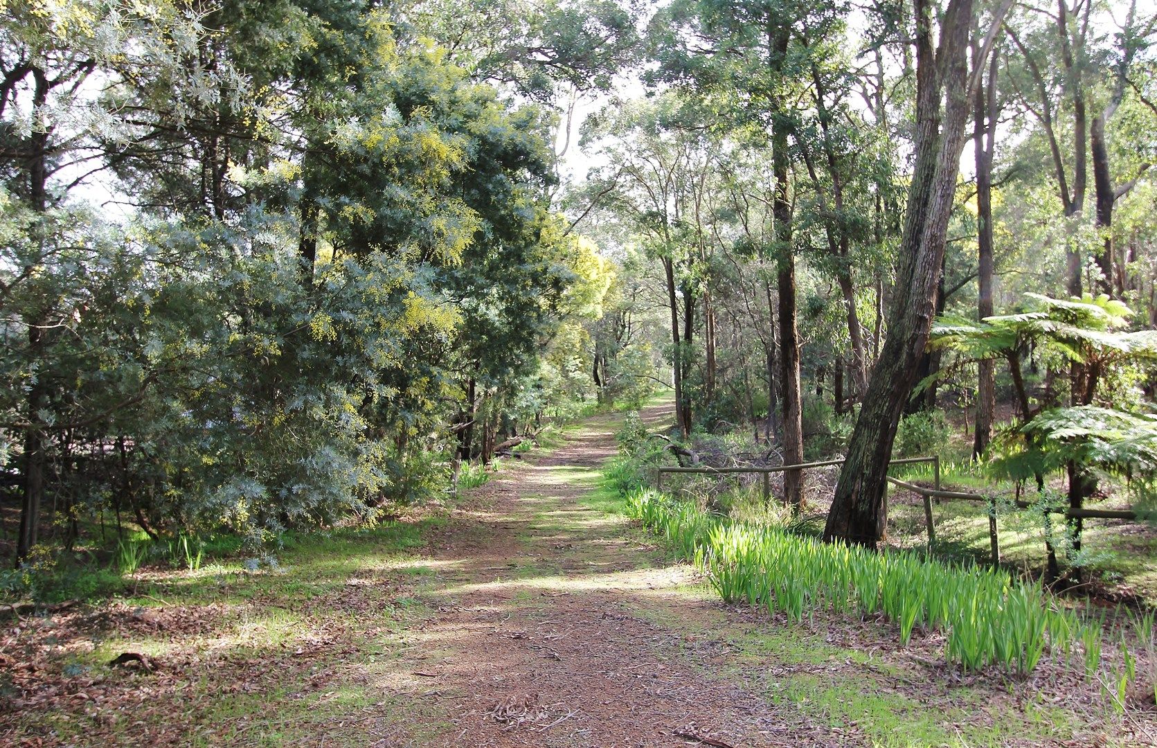 66 Narbethong Road, Bedfordale WA 6112, Image 0