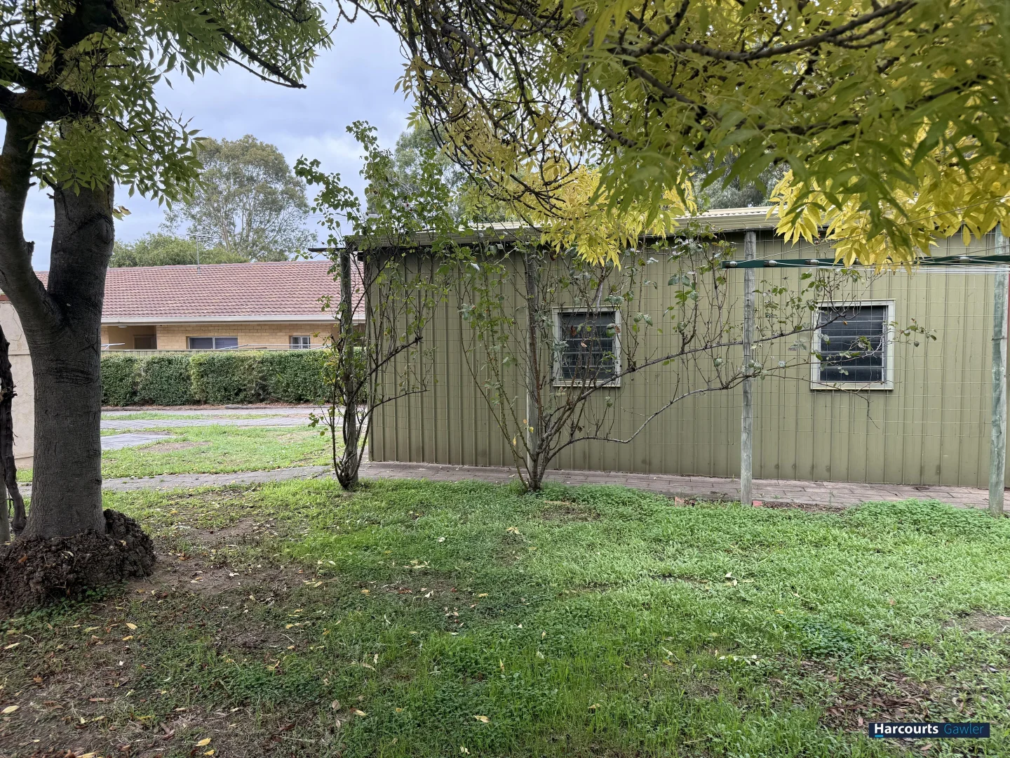 Additional image 16 of 77 Murray Street, Nuriootpa SA 5355