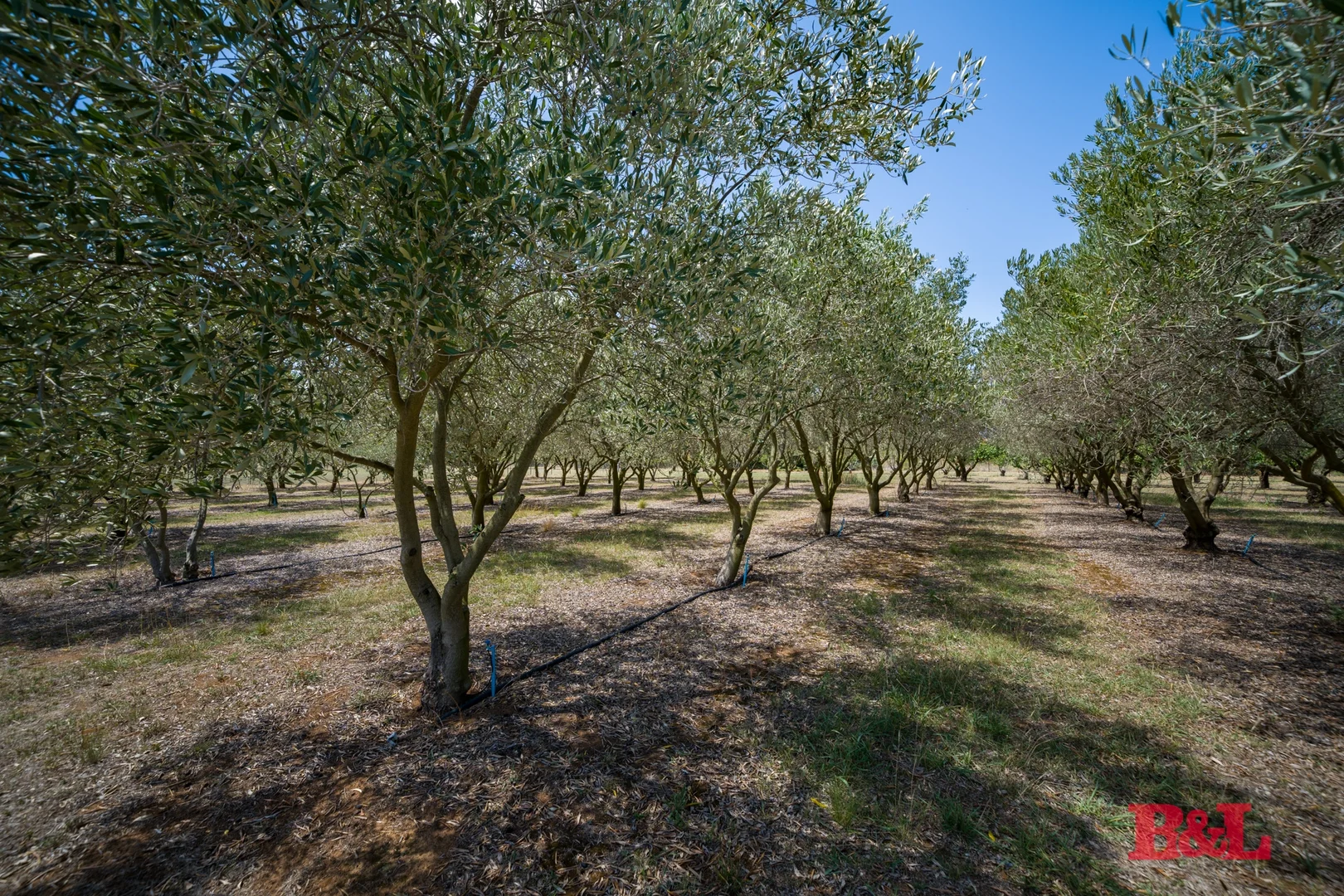 Additional image 5 of 7 Melrose Drive, Raglan NSW 2795