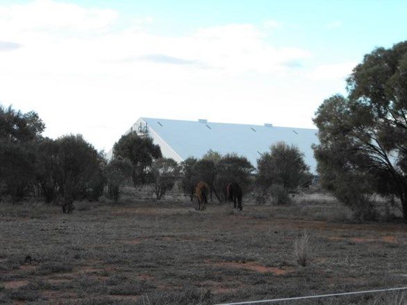 Lots 8 and A Illewong Street, EUABALONG WEST NSW 2877, Image 1