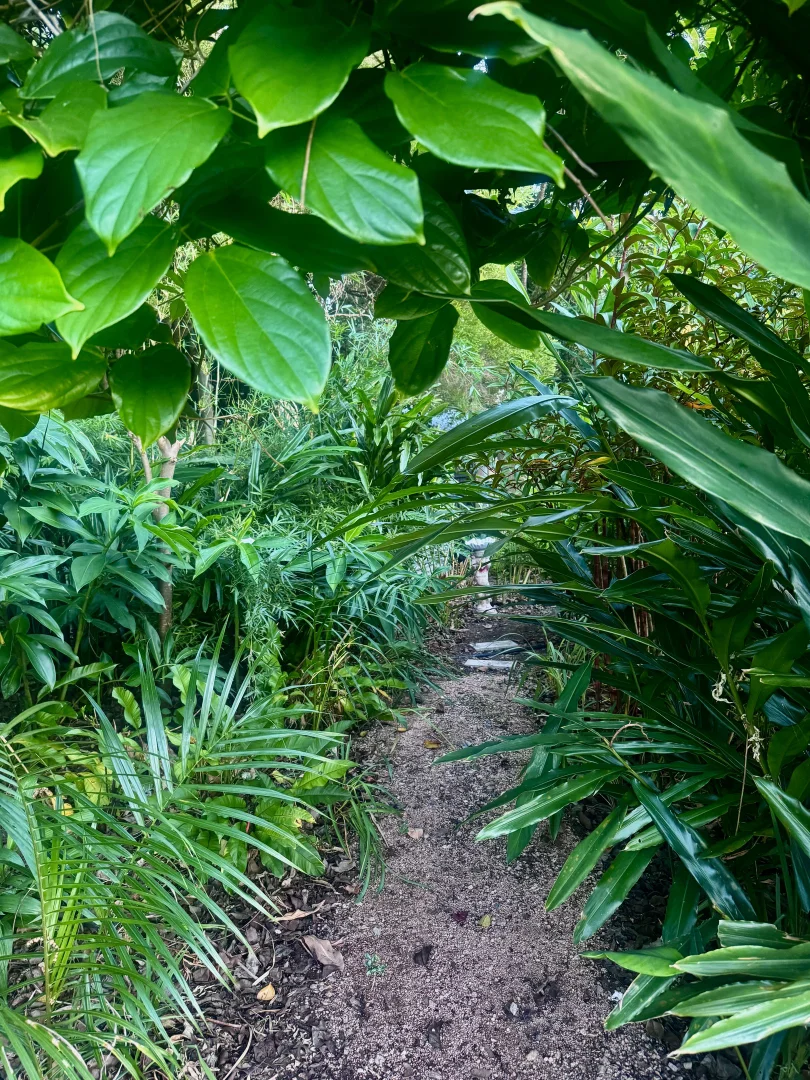 Additional image 23 of 25 Bowling Green Street, Brandon QLD 4808