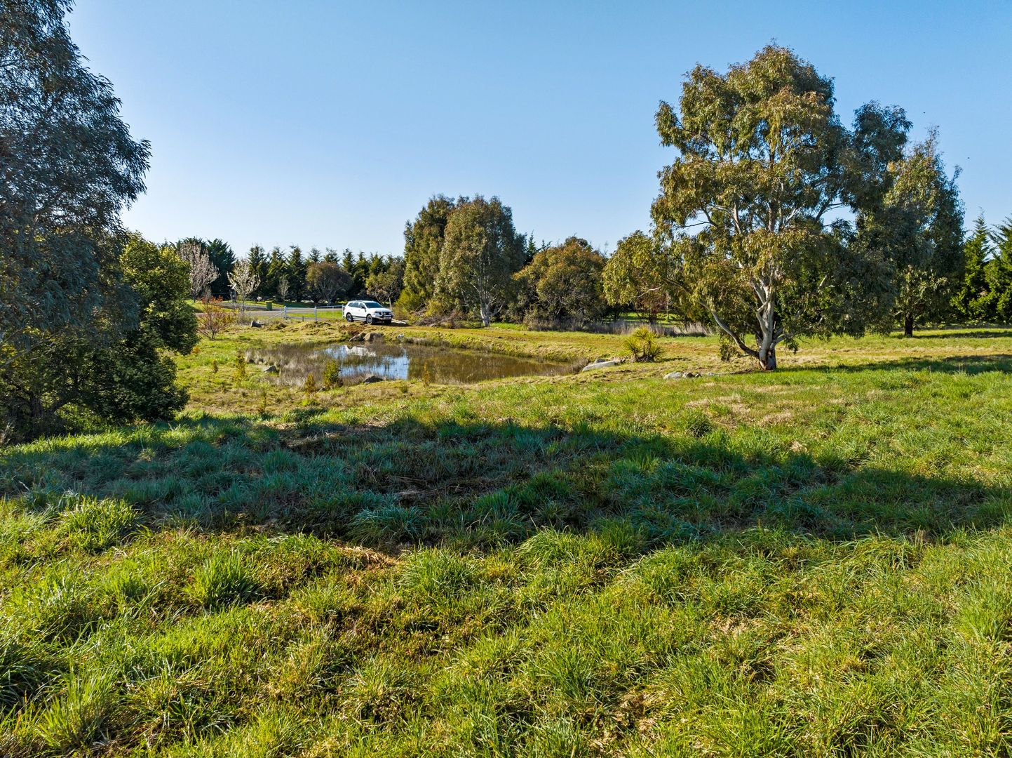 1 Murray Grey Place, Murrumbateman NSW 2582, Image 1