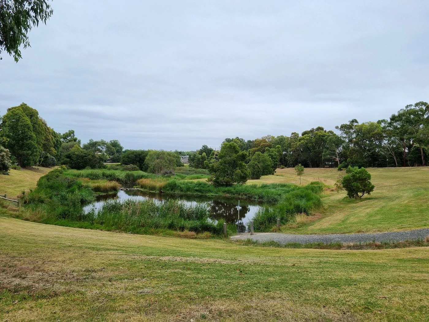 Additional image 13 of 3 Shaun Avenue, Blackburn South VIC 3130