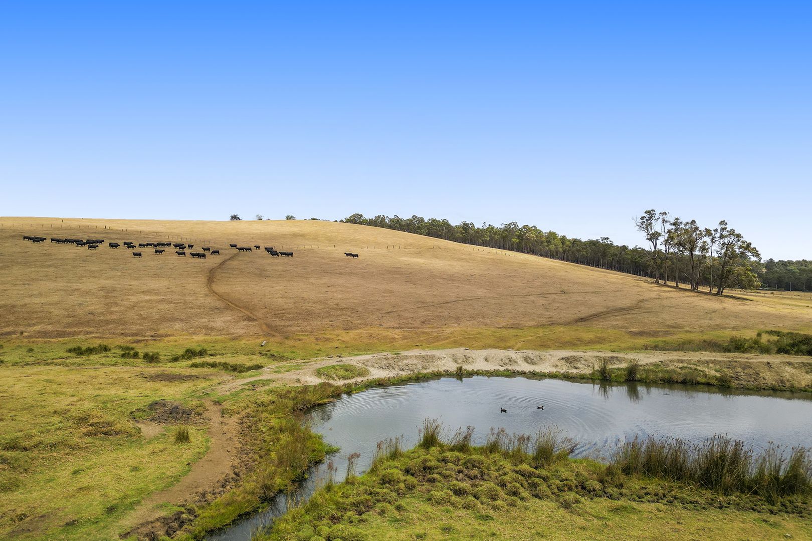Lot 801 Graphite Road, Nannup WA 6275 | Domain
