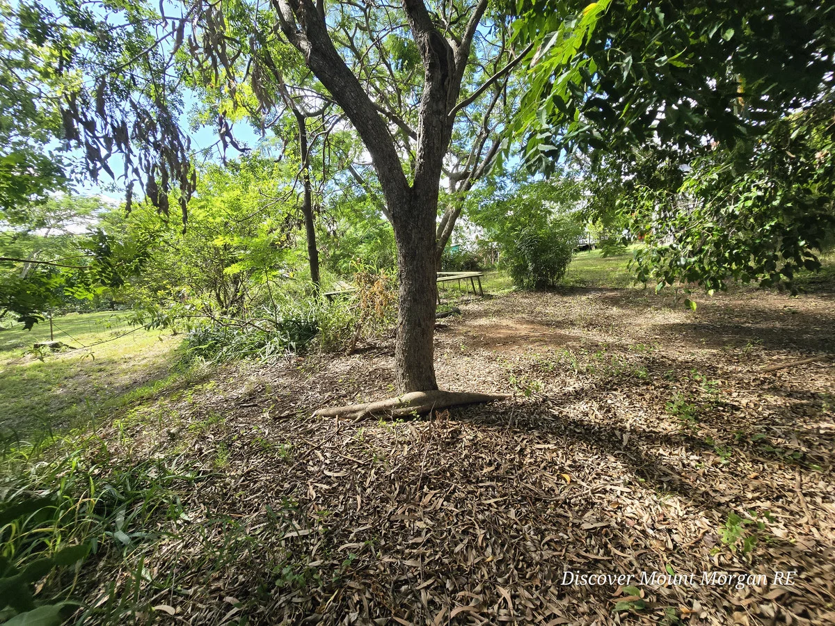 Image 23