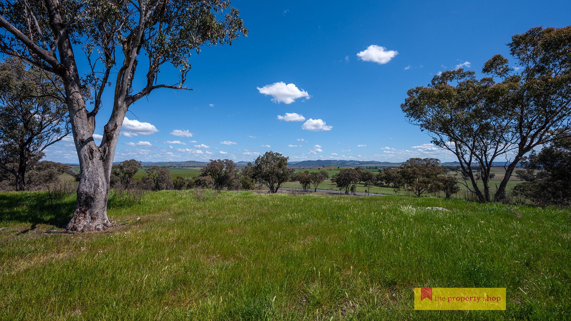 5/705 Springfield Lane, Gulgong NSW 2852, Image 2