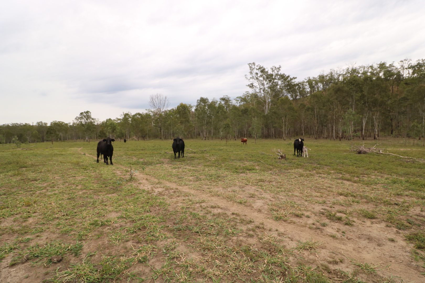 L161 Old Booyal Road, Dallarnil QLD 4621, Image 1