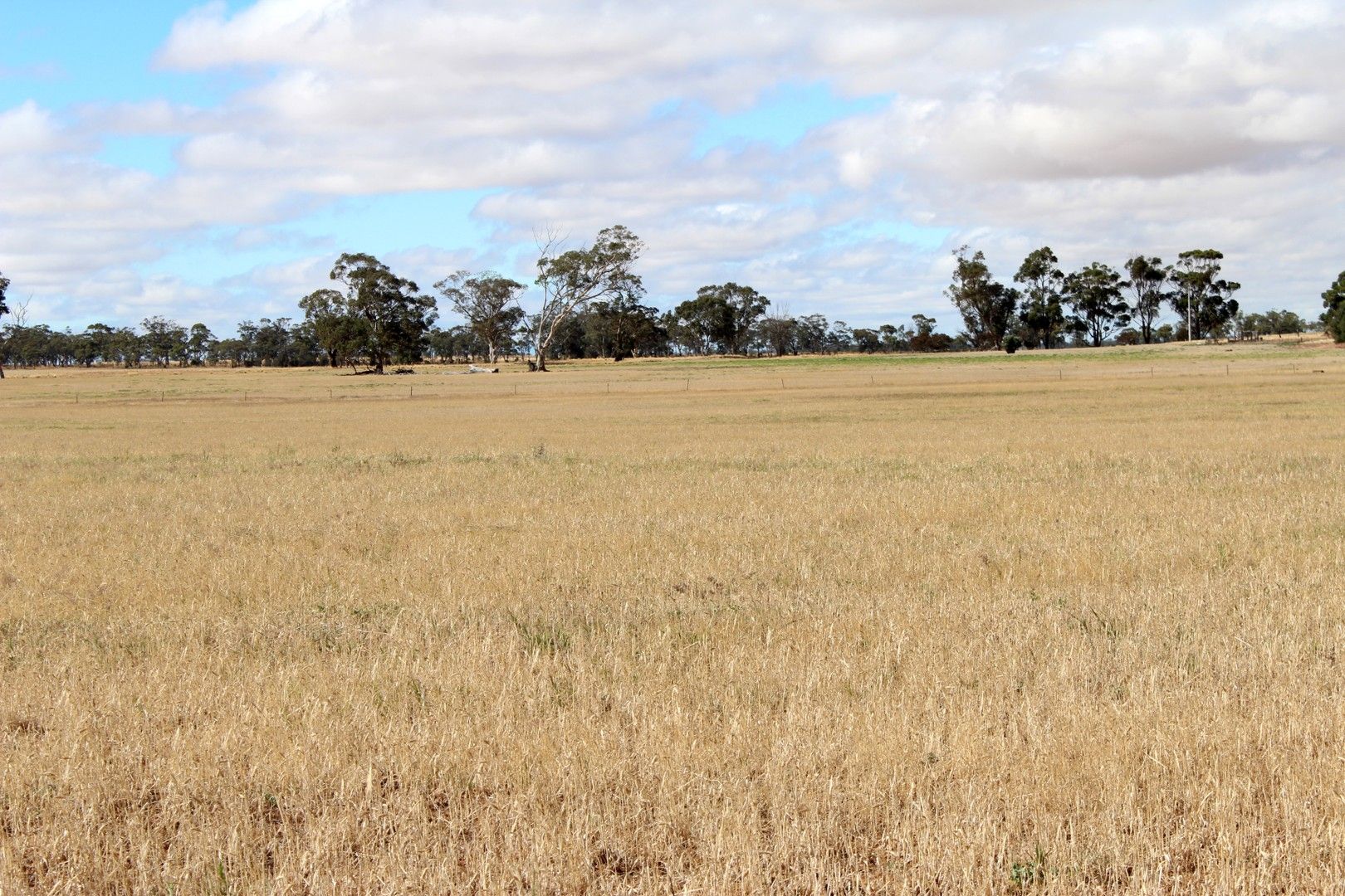 Warracknabeal VIC 3393, Image 0