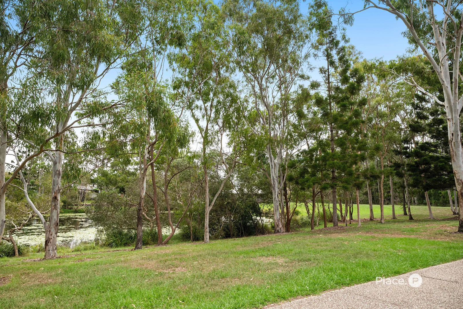 Image 21